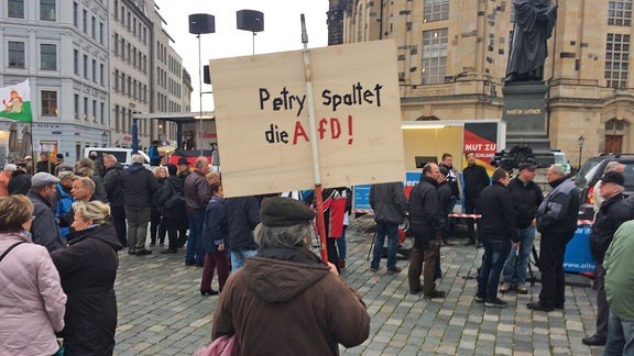 petry spaltet AfD