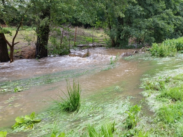 2017 Grenzebach Land unter klein