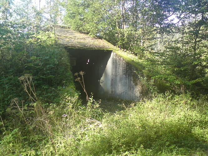 Bunker (1)